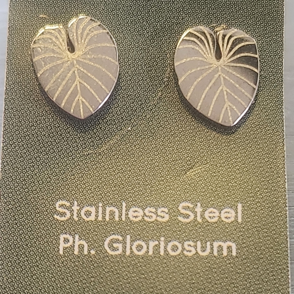 Stainless steel earrings